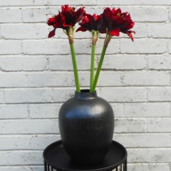 Artificial Amaryllis Flowers Red 55cm - A011 AA3