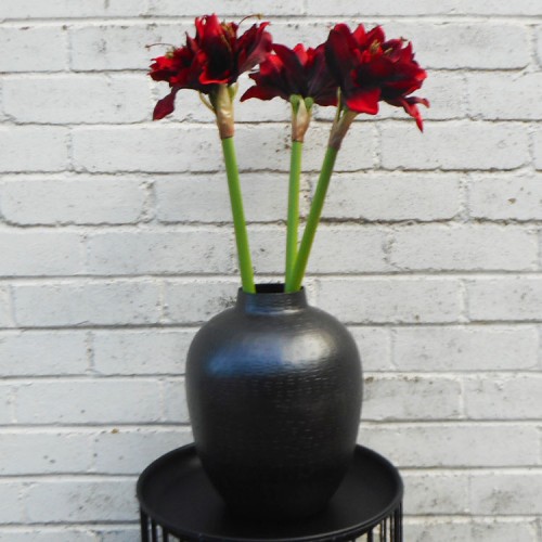 Artificial Amaryllis Flowers Red 55cm - A011 A2