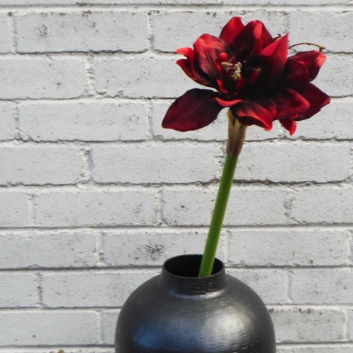 Artificial Amaryllis Flowers Red 55cm - A011 A2