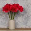 Premium Artificial Amaryllis Red 75cm - A003 A3