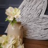 Sorbet Anemones Cream Peach 44cm - A100 A4 Sorbet Anemones Cream Peach 44cm - A100 A4