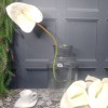 Real Touch Artificial Anthurium Cream 74cm - A132 Q4