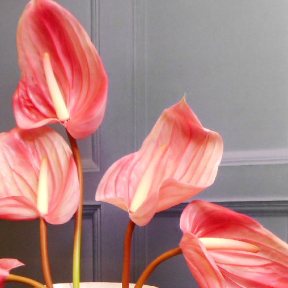 Real Touch Artificial Anthurium Pink 74cm Artificial Flowers