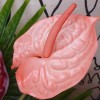 Artificial Anthurium Salmon Pink 70cm - A073 HH4