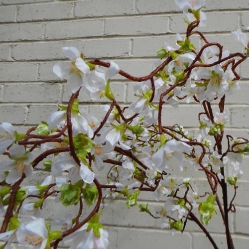 Cream Weeping Cherry Blossom Branch 118cm - C183 B1