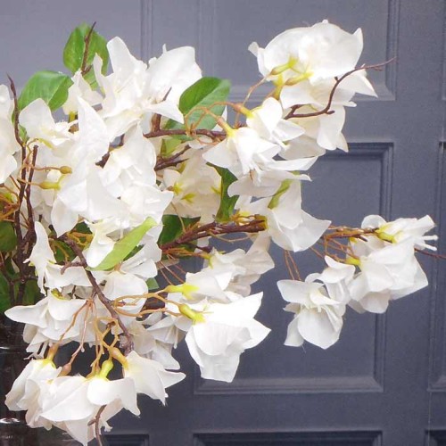 Artificial Bougainvillea Ivory 65cm - B077 B2