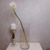 Artificial Calla Lilies Real Touch Large White 75cm - C160 