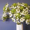 Artificial Chincherinchee Flowers White 63cm - C228 A3