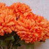 Artificial Pompom Chrysanthemum Orange 65cm - C241 D1