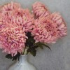 Artificial Bloom Chrysanthemum Pink 73cm - C034 B4 Artificial Bloom Chrysanthemum Pink 73cm - C034 B4