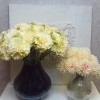 Mini Artificial Chrysanthemums on Short Stem Cream Pink 24cm - C111 C2