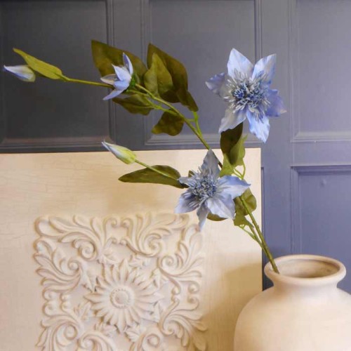 Galaxy Clematis Pale Blue 78cm - C005 C4