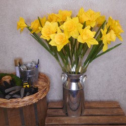 Large Yellow Silk Daffodil 65cm - D010 