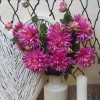Artificial Dahlias Spray Cerise Pink 102cm - D202 D1 Artificial Dahlias Spray Cerise Pink 102cm - D202 D1