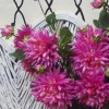 Artificial Dahlias Spray Cerise Pink 102cm - D202 D1 Artificial Dahlias Spray Cerise Pink 102cm - D202 D1