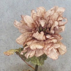 Antique Dahlia Cappuccino Cream 65cm | Faux Dried Flowers - D192 D1