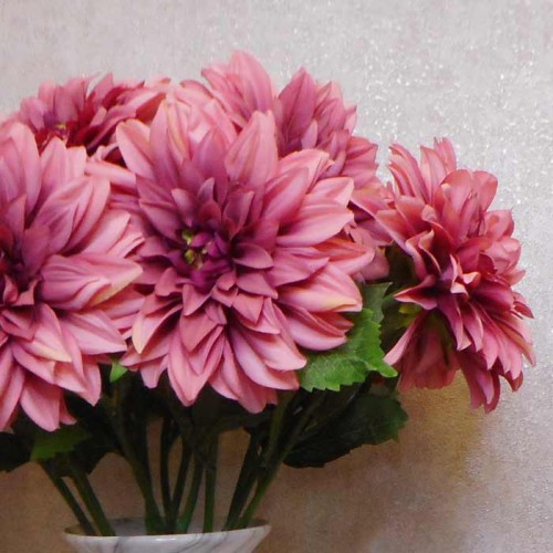 Harvest Moon Dahlias Dark Pink 67cm - D189 D2