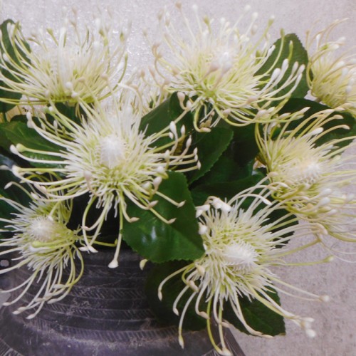 Artificial Leucospermum Protea Plant Cream 39cm - C084