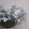 Flax Flowers Blue 48cm - F067 