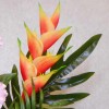 Heliconia Red 91cm - H200 U3