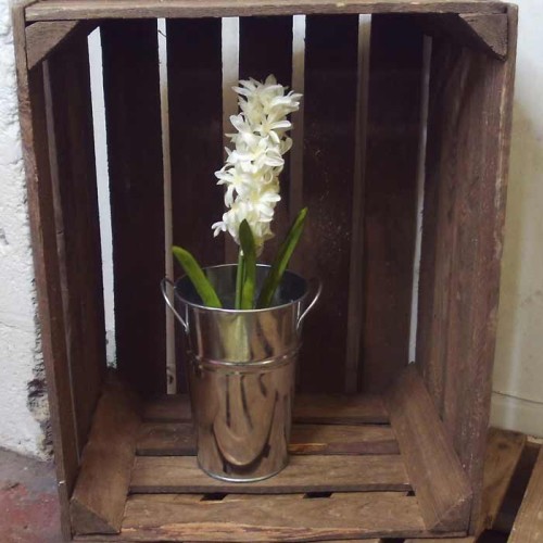 Artificial Hyacinth Plants Cream 43cm - H020 JJ4