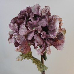 Antique Hydrangeas Aubergine 52cm | Faux Dried Flowers - H197 D3
