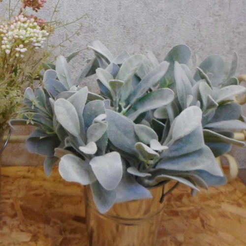 Artificial Lambs Ears Grey Green Short Stem - LAM006 