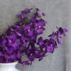 Artificial Dendrobium Orchid Flowers Purple 82cm - O102 K3