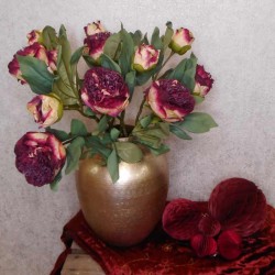 Antique Peony Burgundy 50cm | Faux Dried Flowers - P068 LL4