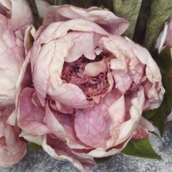 Antique Peony Nude Pink 48cm | Faux Dried Flowers - P033 K3