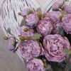 Artificial Peony Flowers Mauve Pink 72cm - P134 KK4