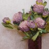 Antique Peony Mauve 50cm | Faux Dried Flowers - P028 U4