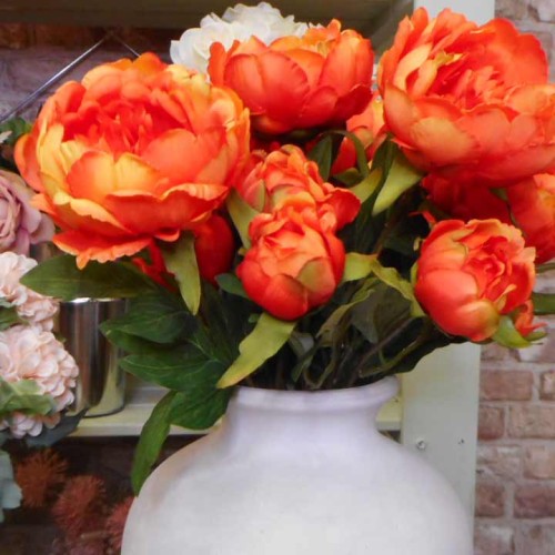 Orange peony deals