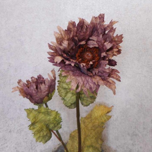 Antique Ruffled Poppy Aubergine 75cm | Faux Dried Flowers - P034 R4