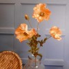 Silk Poppies Amber 70cm - P003 K2