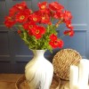 Red Poppies 70cm - P017 K4