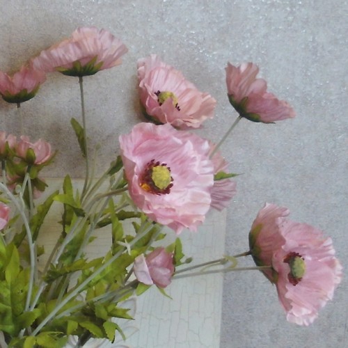 Wild Poppies Pink 70cm - P074 L2