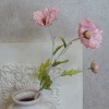 Wild Poppies Pink 70cm - P074 L2