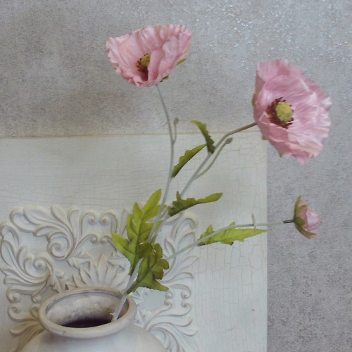 Wild Poppies Pink 70cm - P074 L2