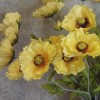 Wild Poppies Yellow 70cm - P069 K2