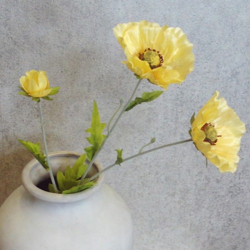 Wild Poppies Yellow 70cm - P069 K2