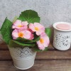 Artificial Primula Plants Pink 22cm - P024 II3