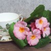 Artificial Primula Plants Pink 22cm - P024 II3