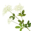 Faux Queen Anne's Lace Cream 84cm - Q003 BX8 Faux Queen Anne's Lace Cream 84cm - Q003 BX8