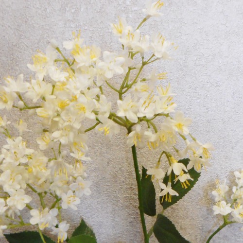 Faux Queen Anne's Lace Cream 84cm - Q003 BX8 Faux Queen Anne's Lace Cream 84cm - Q003 BX8