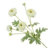 Faux Ranunculus Spray Cream 67cm - R206 N4