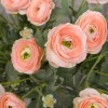 Faux Ranunculus Spray Peach 67cm - R203 N4