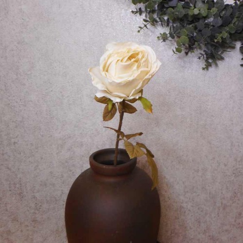 Antique Rose Cream 68cm | Faux Dried Flowers - R230 