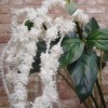 Artificial Amaranthus Cream 118cm - A023 B2