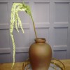 Artificial Amaranthus Pale Green - AMA009 A2 Artificial Amaranthus Pale Green - AMA009 A2